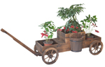 antique wooden wagon planter