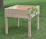 raised garden beds