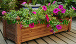 wooden planter boxes